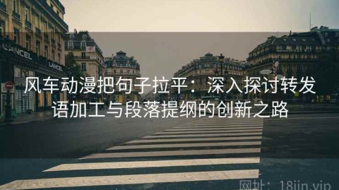 风车动漫把句子拉平：深入探讨转发语加工与段落提纲的创新之路