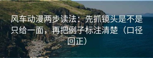 风车动漫两步读法：先抓镜头是不是只给一面，再把例子标注清楚（口径回正）