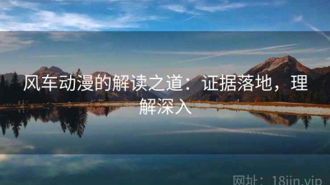 风车动漫的解读之道：证据落地，理解深入