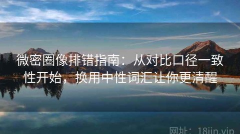 微密圈像排错指南：从对比口径一致性开始，换用中性词汇让你更清醒