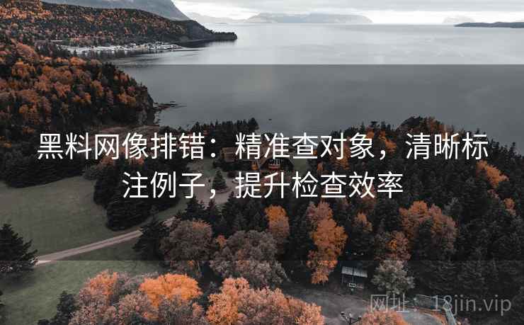 黑料网像排错:精准查对象,清晰标注例子,提升检查效率 黑料网像排错:精准查对象,清晰标注例子,提升检查效率