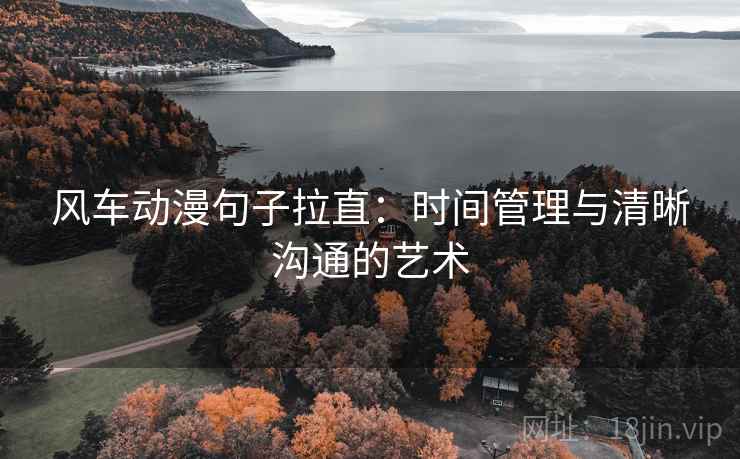 风车动漫句子拉直：时间管理与清晰沟通的艺术
