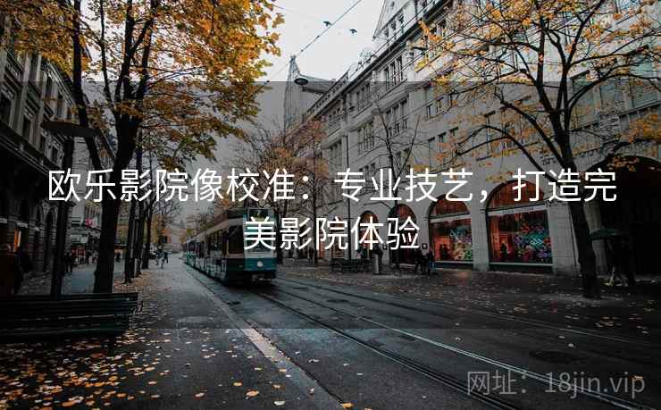 欧乐影院像校准：专业技艺，打造完美影院体验