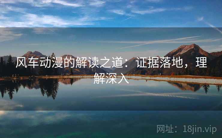 风车动漫的解读之道：证据落地，理解深入