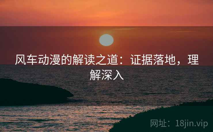风车动漫的解读之道：证据落地，理解深入